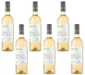 6x Barone Montalto  Pinot Grigio Bio trocken Weißwein Sizilien