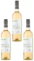 3x Barone Montalto  Pinot Grigio Bio trocken Weißwein Sizilien