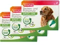 Beaphar Zecken- & Flohschutz Spot-on für Hunde ab 15kg 3 x 3 Pipetten je 2ml