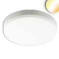 ISOLED LED Decken/Wandleuchte 18W, weiß, IP54, ColorSwitch