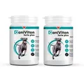 VETOQUINOL Caniviton forte plus - 2x90 tab.