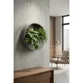 finestgreen Pflanzschale Hanging Wally, Robust & leicht – frostfest für Innen- und Außenbereich grau Ø 50.0 cm x 10.0 cm