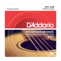 D'Addario A-Git.Saiten EJ17 13-56 Phosphor Bronze