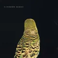 Audio Cd - Andrew Bird - Armchair Apocrypha  - Fargo Records -D- Neu