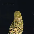 CD Andrew Bird Armchair Apocrypha Fargo