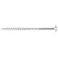 SCREWREBEL Holzbauschraube Tellerkopfschraube hell verzinkt mit ETA Zulassung und Torx Antrieb, (100 St), großer Kopf für hohe Klemmkraft, hohe Belastbarkeit, robust 6 x 120 mm