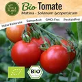 Little Plants BIO Tomaten Samen 10 Tomatensamen Matina Gemüsesamen für Gemüsegarten Samenfest Gemüse Samen für Küche, Balkon und Garten