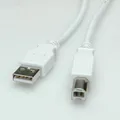 Value W128372907 783753 Usb 2.0 Cable A - B M/M 1.8 ~E~