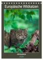 Europäische Wildkatzen - Jahresplaner (Tischkalender 2026 DIN A5 hoch), CALVENDO Monatskalender: 12 Portraits der scheuen Wildkatze (CALVENDO Tiere)