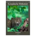 Europäische Wildkatzen - Jahresplaner (Tischkalender 2026 DIN A5 hoch) CALVENDO Monatskalender von Janita Webeler/ Calvendo / Calvendo / Kalender