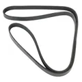 MAPCO Keilrippenriemen 251750 für Mercedes NISSAN DACIA
