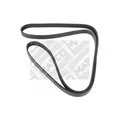 ORIGINAL® Mapco Keilrippenriemen für Renault CLIO II KANGOO Express KANGOO