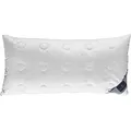 Billerbeck 2460980005 Kissen 124 Concerto, circa 40 x 80 cm