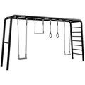 BERG PlayBase Extra Large TL Black »Aktiv-Set« inkl. 2 Schaukelsitzen, Trapez und Turnringen
