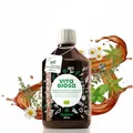Vita Biosa Original 500 ml in Bio Qualität - Fermentgetränk mit Milchsäurebakterien aus 19 Kräutern - Mikroorganismen für ein gutes Bauchgefühl - Zutaten aus kontrolliert biologischem Anbau (kbA)