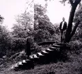 Timber Timbre (New Version)