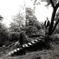 Timber Timbre Timber Timbre (CD) Album