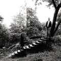 TIMBER TIMBRE - TIMBER TIMBRE (NEW VERSION) 2 CD NEU