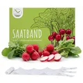 5m Saatband Radieschen Samen (Radies Riesenbutter Vitessa) - Saftig, rote Radieschen ideal für die Anzucht im Garten, Balkonkasten & Gemüsebeet