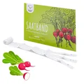 5m Saatband Radieschen Samen (Radies Riesenbutter Vitessa) - Saftig, frisch