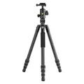 Vanguard VESTA GO 264CB (Carbon) (VESTA GO 264CB)