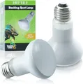 LUCKY HERP Reptilien Wärmelampe 50W-2er-Pack, Wärmelampe Terrarium Schildkröten 