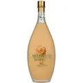 Bottega Crema di MELONCINO Cream Liqueur 15% Vol. 0,5l