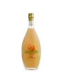 Bottega Crema di Meloncina Likör 15% 0.5L c2e953ce56952d2f