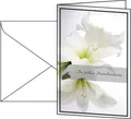 Trauerkarte Sigel Weiße Amaryllis, klappbar, geeignet für Drucker/Kopierer, inkl. Umschläge, FSC®-Glanzkarton, 10 Stück 172097
