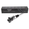 MONROE C1506S Stoßdämpfer Federbein für FORD GALAXY II S-MAX hinten 1736049