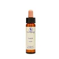 Healing Herbs Bachblüten Larch Tropfen, 10 ml
