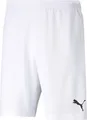 PUMA teamRISE Trainingsshorts Kinder puma white/puma black 140