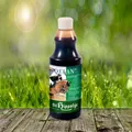 Qelan 500 ml - Für den Extra-Kick