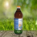 Schwarzkümmelöl 750 ml - Hochwertige Ölmischung aus dem Orient