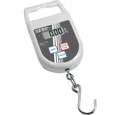 Kern Kofferwaage Kern CH 50K100 Hängewaage CH 50K100 Wägebereich (max) 50 kg Ablesbar, (CH 50K100)