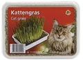 Beeztees 584705 Katzengras , Plastikbox, 130 g, 18 x 14 x 3.5 cm
