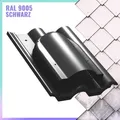 FLACHLÜFTER Benders Mecklenburger, ProDach Doppelrömer K60 RAL 9005-Schwarz