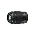 Panasonic Lumix H-PS45175 - Telezoomobjektiv - 45 mm - 175 mm - f/4.0-5.6 G X VARIO PZ - Micro Four Thirds - für Lumix G AG-GH4UP, DC-G9, G9L, G9M, GX800, GX9, GX9H, GX9K, GX9M, GX9W, DMC-G70, G81, GX85