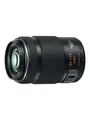 Panasonic Lumix H-PS45175