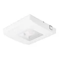Ceag Notlichtsysteme LED-Einzelbatterie-Leuchte m.autom. Funkt.test 13852 CGLine+ 5 Lux