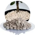 Kalk Ziersplitt beige 8-16 mm - 25 kg Sack