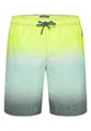 CAMP DAVID Badeshorts Badeshorts Swimshorts (1-St)