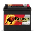 12V 60Ah 510A Banner Power Bull P6068 Starterbatterie