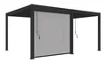 Weide Sonnenrollo Anthrazit | Seitenwand für Alu Pergola | Stufenlos verstellbar | Wetterfester Textilscreen mit UV-Schutz | Oeko-TEX Qualität