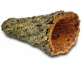 60 cm lange XL Korkröhre, breit Durchmesser = 15-20 cm