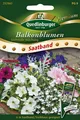 Quedlinburger Balkonblumen Stehende Mischung Saatband -  Premium Blumensamen