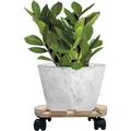 5x Pflanzenroller Rund 30cm 120 kg Blumentopf Untersetzer Rollbrett Wagen Kübel