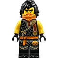 LEGO Ninjago: Cole (Dragons Rising S2)