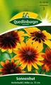 Sonnenhut Herbstwald Samen von Quedlinburger Saatgut