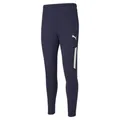 Puma TeamLiga Pro Trainingshose - blau